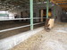 DSCN0291.JPG