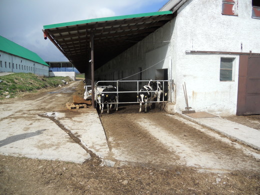 DSCN0294.JPG